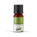 nefertiti-eucalyptus-oil-50ml Eucalyptus Oil